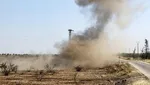 اعلام قیمت جدید دام‌زنده ۱۳ اردیبهشت ۱۴۰۴