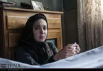 فیلم «مرگ ماهی» به کارگردانی سید روح الله حجازی ساخته شده است.خلاصه فیلم:همیشه فکر می کردم ماهی ها موقع مردن، وقتی لب می زنن، یه چیزی می خوان بگن که من اونو نمی شنوم