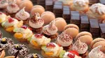 پر بار‌ترین ارقام نهال گردو سردسیری و گرمسیری را بشناسید!