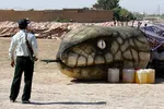 عکس/ اقدام عجیب یک زن حین دعوای زناشویی!