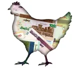 قیمت جدید مرغ گرم در عمده‌فروشی و خرده‌فروشی