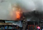 آتش‌سوزی گسترده در پارک ارم تهران + فیلم