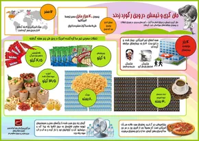 اینفوگرافی/ تاثیرات منفی فضای مجازی