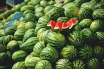 آخرین تغییرات قیمت کالا‌های خوراکی در اردیبهشت ١٤٠٠