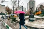 با این موادغذایی از آسیب‌های آلودگی هوا در امان بمانید