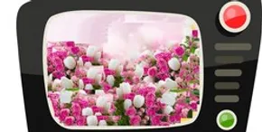 عکس / تیپ دهه هفتادی «آناهیتا همتی»