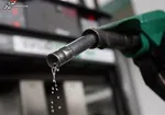پاک‌نژاد: امکان قاطی کردن آب با بنزین وجود ندارد