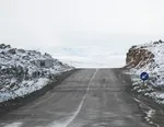 پیش‌بینی حضور ۵ میلیون زائر در حرم رضوی