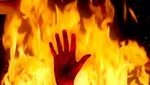 اراذل‌ و اوباش شیرازی را در شهر چرخاندند