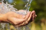 افزایش ۱۰۰ درصدی قیمت پیاز و گوجه در بازار