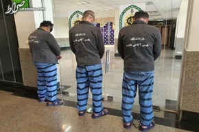 فیلم| پروفسور فرهود: ۴۴ کشور دنیا را گشتم، هیچ کجا مثل ایران نبود