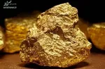 به سیف گفتم دو ماهه مسأله ارز را حل می‌کنم