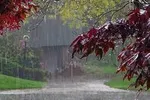 هواشناسی ایران۱۴۰۴/۴/۳۰؛ استمرار بی‌هنجاری دما