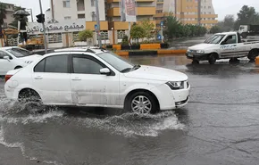 تصاویر / خزان زیبا در جنگل «مازیچال»