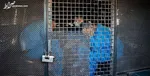 عربده‌کشان پایتخت به دام افتادند