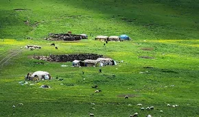 تصاویر / ییلاق عشایر سلسله و دلفان در کوهپایه های گرین