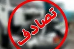 شتر عامل مصدوم شدن ۸ نفر در تصادف زنجیره‌ای