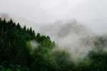 کشف پیکر ۲ کوهنورد مفقود شده در ارتفاعات الوند همدان