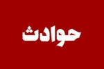 رازگشایی از قتل مدیرعامل شرکت | قاتل به آلمان گریخت