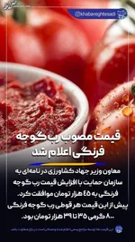 پاسخ رئیس اتحادیه در مورد علت گرانی میوه