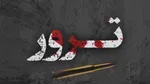 ترور نافرجام وزیر دفاع عراق