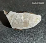 شهاب‌سنگی آسمان آمریکا را لرزاند