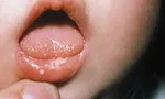 حمله هکری به روزنامه‌نگاران آمریکایی