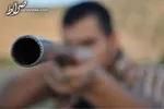 جزئیات حادثه تیراندازی در میدان آزادی شهر کرمان
