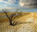 تهرانی‌ها برای گذر از بحران آب این توصیه‌ها جدی بگیرند