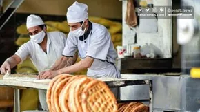 تصاویر / نان بلوط