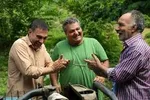 تلویزیون در محرم چه برنامه‌هایی دارد؟