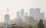 بهترین مکمل‌ها برای سالمندان کدامند؟