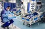 شناسایی ۲۰ مورد ابتلا به تب دنگی در بندرعباس
