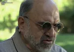 دستمزد ۷۲۷هزاردلاری مصی علی‌نژاد از دولت آمریکا