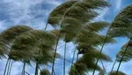 وضعیت آب و هوا در ۵ تیر