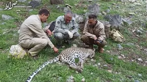 فیلم / نجات کارکنان شرکت نفت از سیلاب