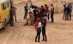 تعلیق مجوز ۱۰۲دفتر خدمات مسافرتی