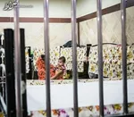 کشف بیش از ۳۰ قبضه انواع سلاح در پایتخت