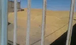نامه وزیر بهداشت به سیف: اسامی کسانی که برای دارو ارز دولتی گرفته‌اند، اعلام کنید