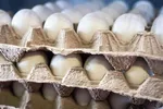 ذخایر کالاهای اساسی به یک ماه کاهش یافت/ روحانی انبارهای خالی تحویل دولت بعد می‌دهد