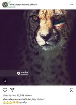نگرانی بزرگ بیرانوند؛ غیبت در جام جهانی!