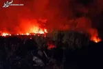 عکس / سرباز ۱۹ ساله قطع عضو شده اوکراینی در حال دریافت خدمات پزشکی