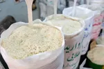 جزییات عرضه ارزان برنج ایرانی/ کاهش ۲۰ تا ۳۰درصدی قیمت با طرح جدید