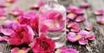 تشییع پیکر خلبان جنگنده میگ ۲۹ ارتش