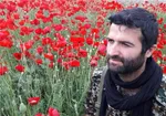 چوپان گیلانی همراه با گله اش گم شد
