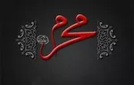 مهمان‌نوازی ویژه از زائران غیرایرانی امام رئوف