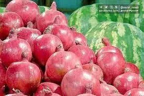 تصاویر| سومین جشنواره انار در شهرستان دزپارت
