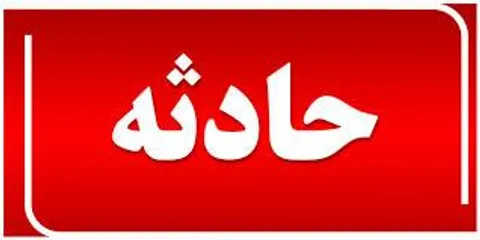 یک کبوتر برای مرد میانسال دردسر درست کرد