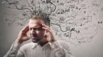مغز دلفین‌ها تغییراتی شبیه آلزایمر را نشان می‌دهد