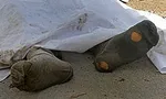 مادر معتاد دختر ۲ ساله‌اش را کشت